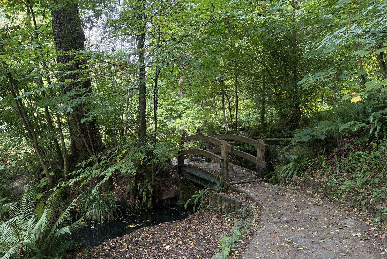 bridges