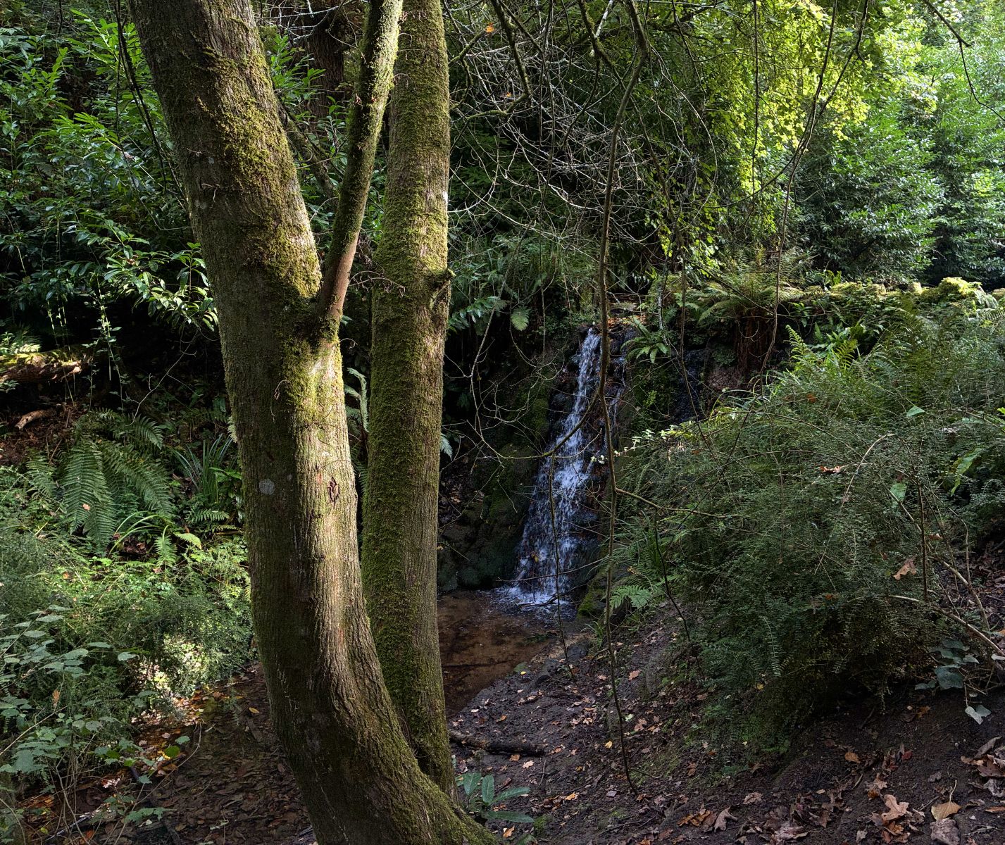 waterfall